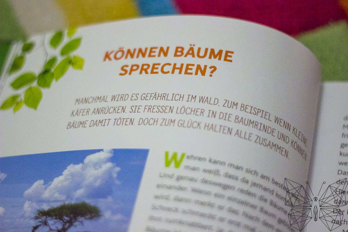 Unsere Leseecke: Hörst du die Bäume sprechen? Von Peter Wohlleben - Tanja's Everyday Blog