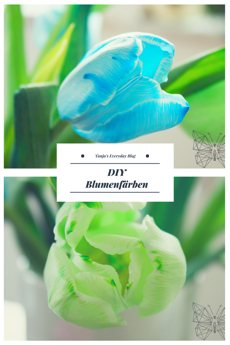 DIY Blumenfärben Tanja's Everyday Blog