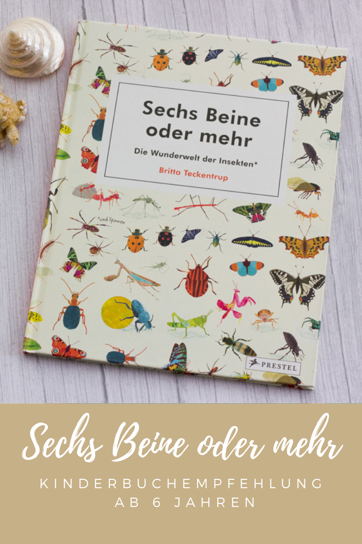 Sechs Beine oder mehr - Kinderbuch über Insekten